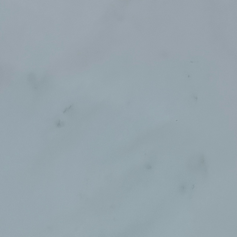 090 Free Country | EUC Women’s Hooded Water-Resistant Jacket (size 2XL) - Picture 12 of 16